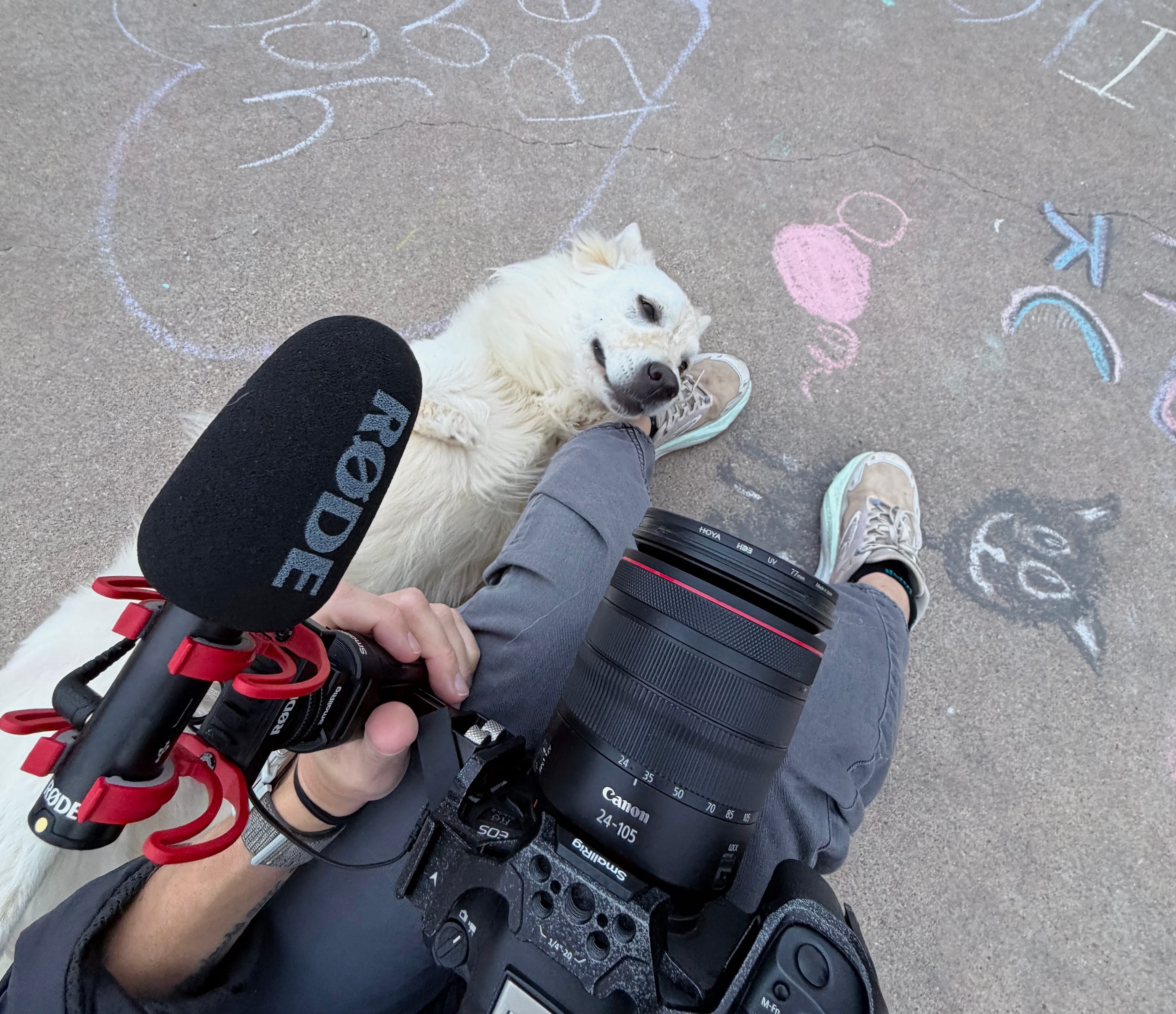 "Dear Diary" (a.k.a. all of you)